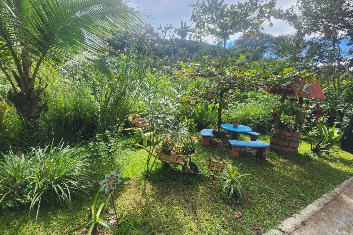 Real-Estate-Patricia-Cabanas-Sarchi-18