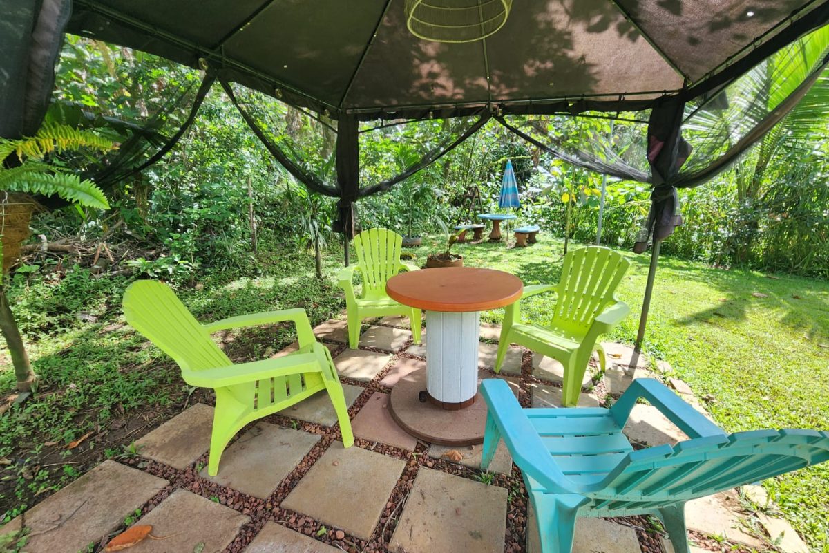 Real-Estate-Patricia-Cabanas-Sarchi-32