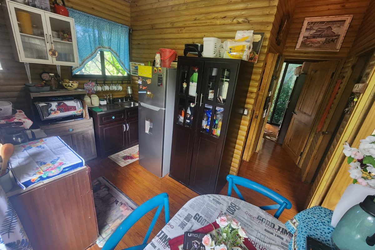 Real-Estate-Patricia-Cabanas-Sarchi-7