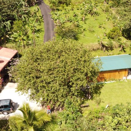 Real-Estate-Patricia-Cabanas-Sarchi
