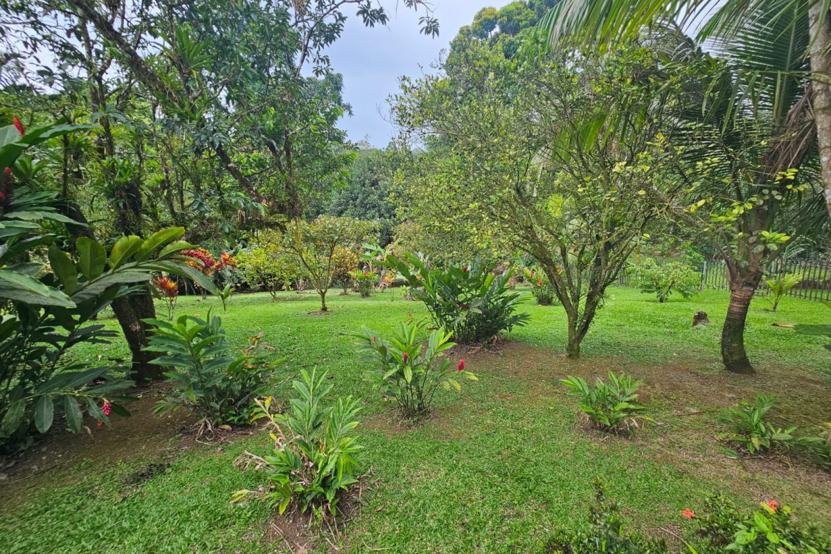Real-Estate-Quinta-Venecia-Don-Fernando-18