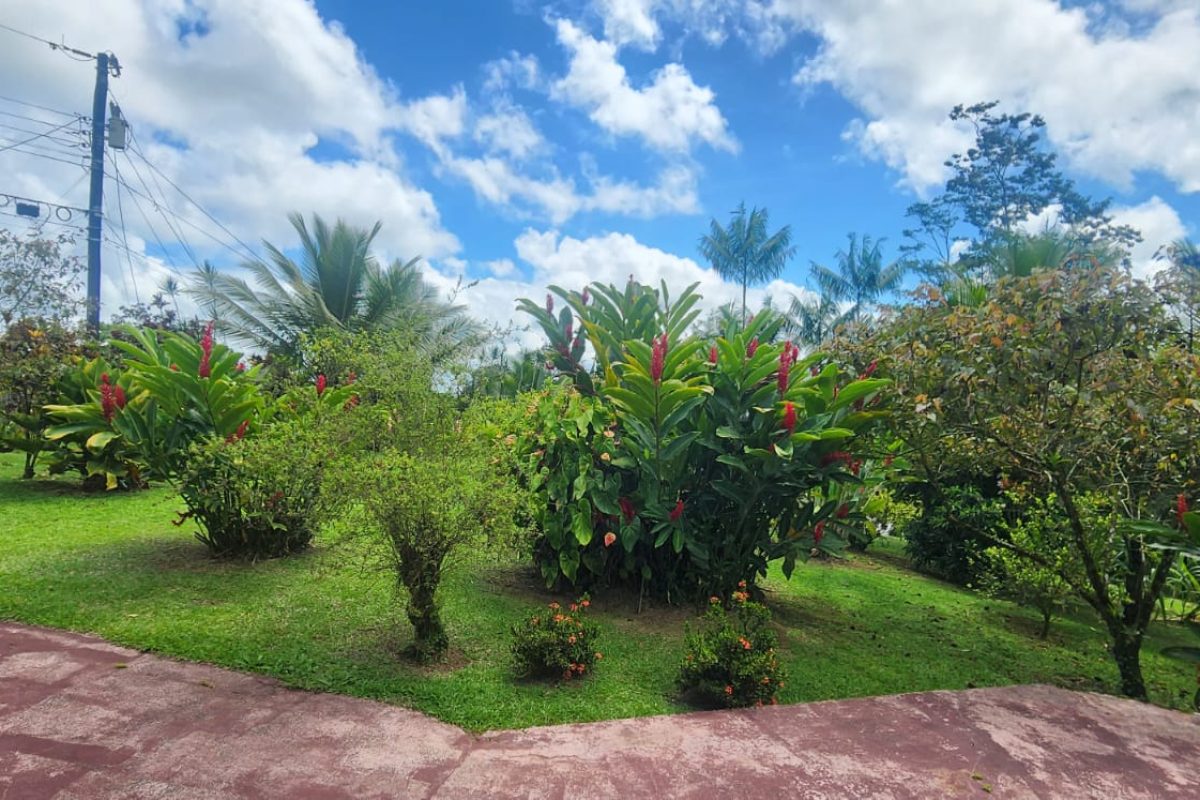 Real-Estate-Quinta-Venecia-Don-Fernando-2