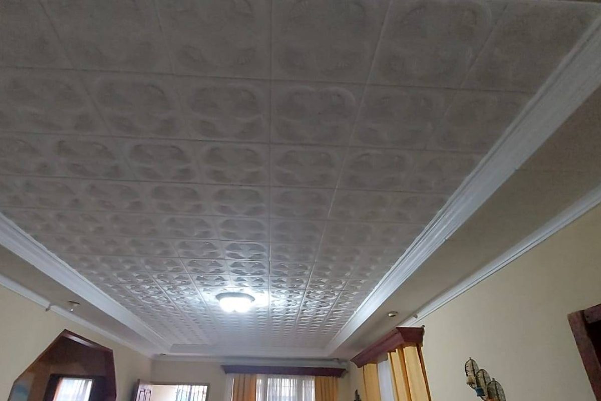 Real Estate Valeria Palmitos Naranjo (9)