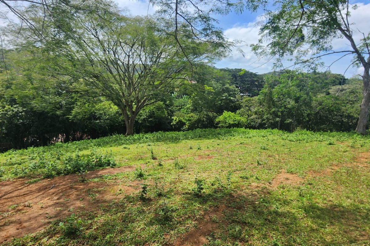 Real-Estate-Yariela-San-Migel-Naranjo-3