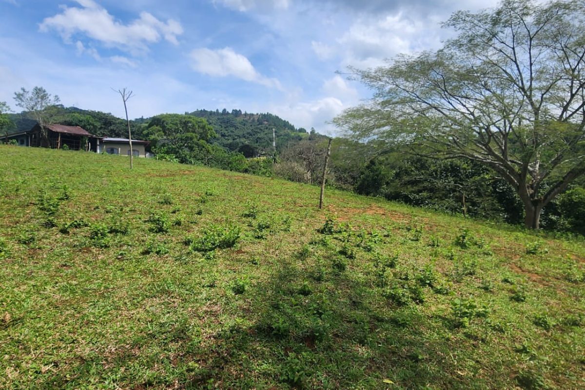 Real-Estate-Yariela-San-Migel-Naranjo-5