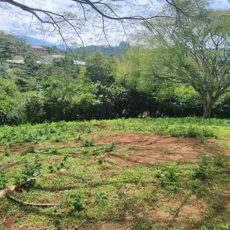Real-Estate-Yariela-San-Migel-Naranjo