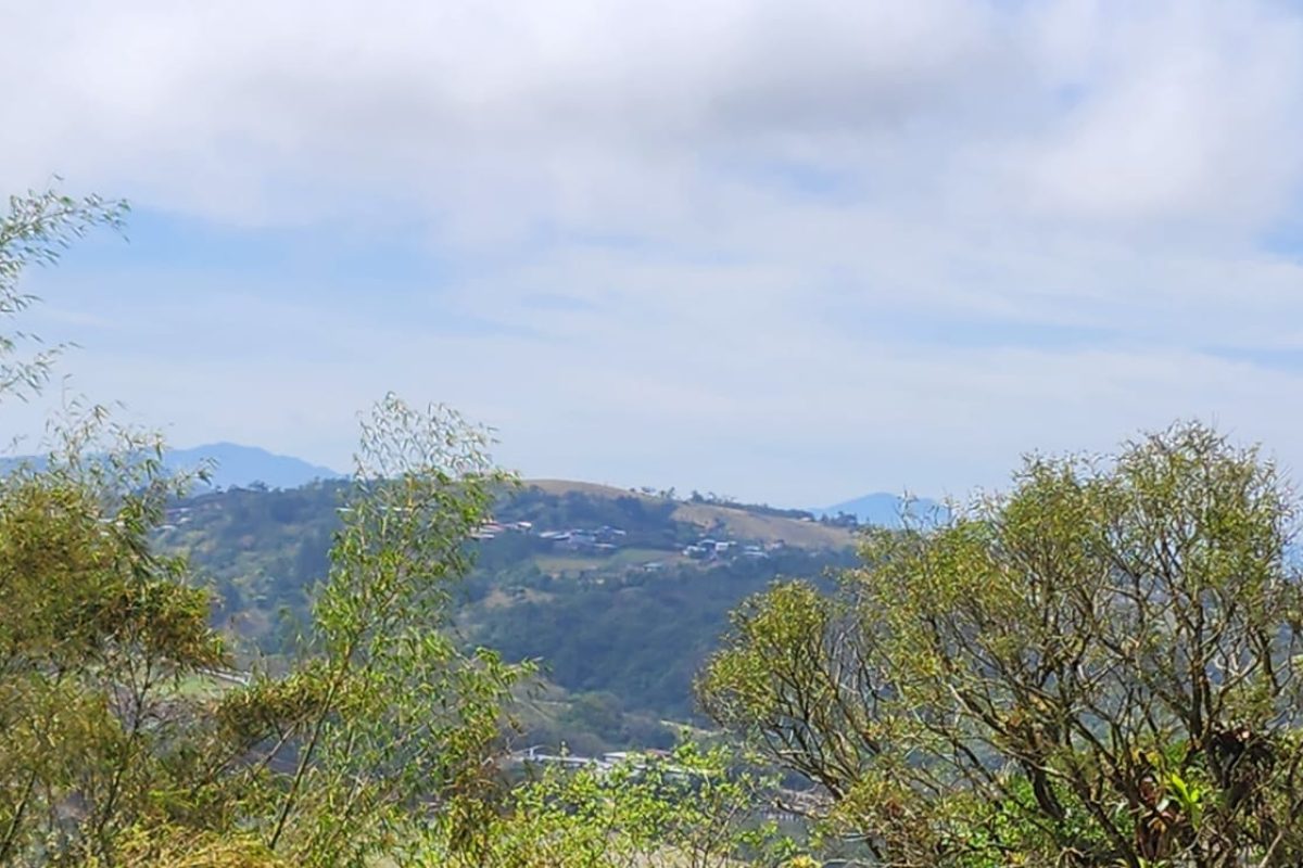 Real-estate-Stephen-Los-Angeles-San-Ramon-15-1