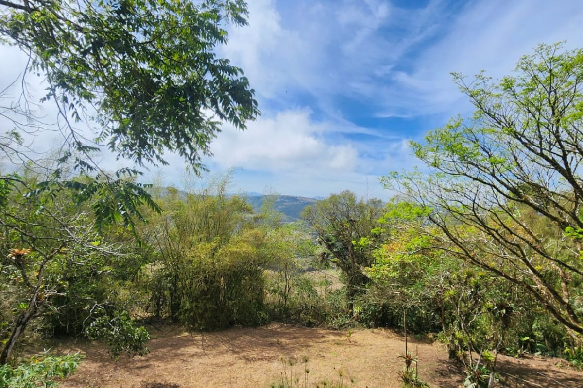 Real-estate-Stephen-Los-Angeles-San-Ramon-16-1