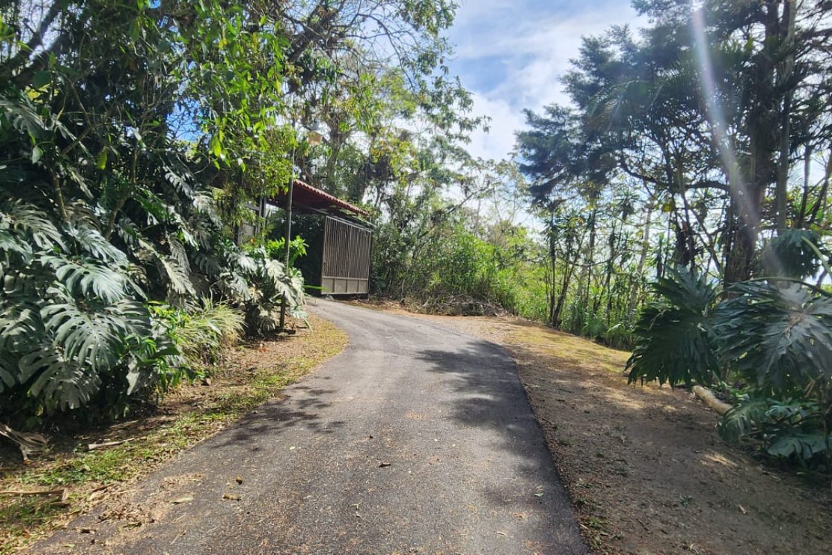 Real-estate-Stephen-Los-Angeles-San-Ramon-4-1