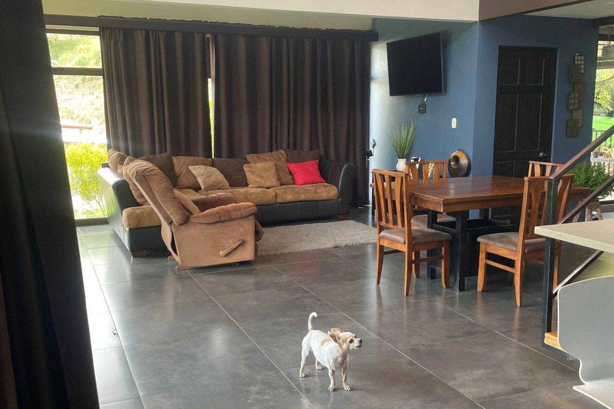 RealEstate_CasaLaVirgencita_3_1_11zon