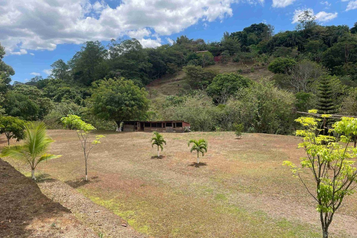 RealEstate_CasaLaVirgencita_6_6_11zon