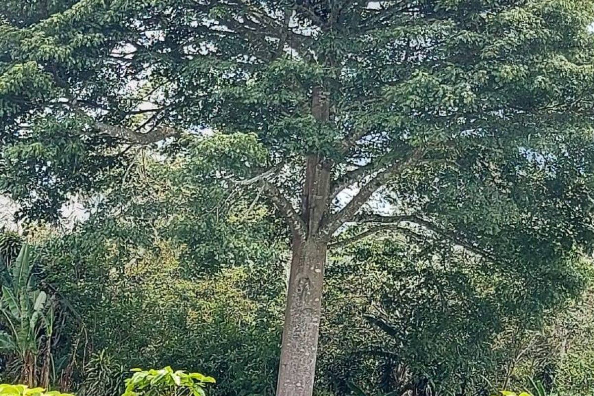 RealEstate_FlatLandNaranjo_11