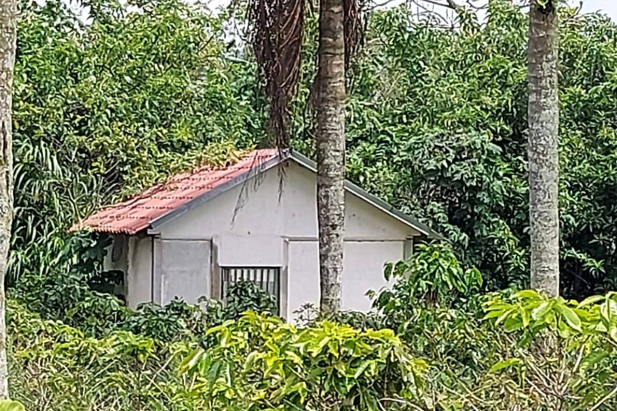 RealEstate_FlatLandNaranjo_12