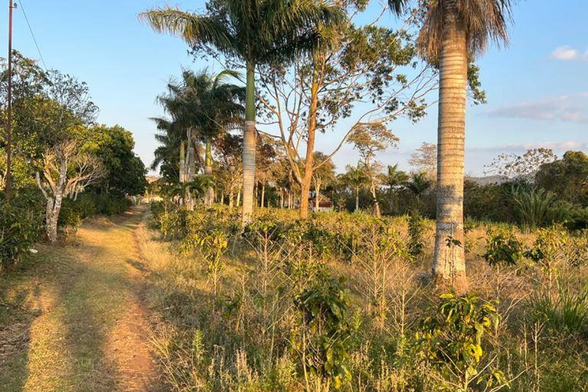 RealEstate_FlatLandNaranjo_13