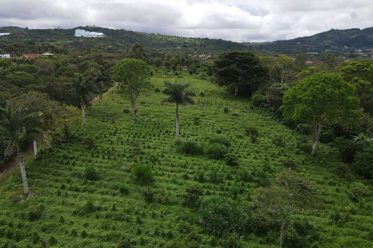 RealEstate_FlatLandNaranjo_2