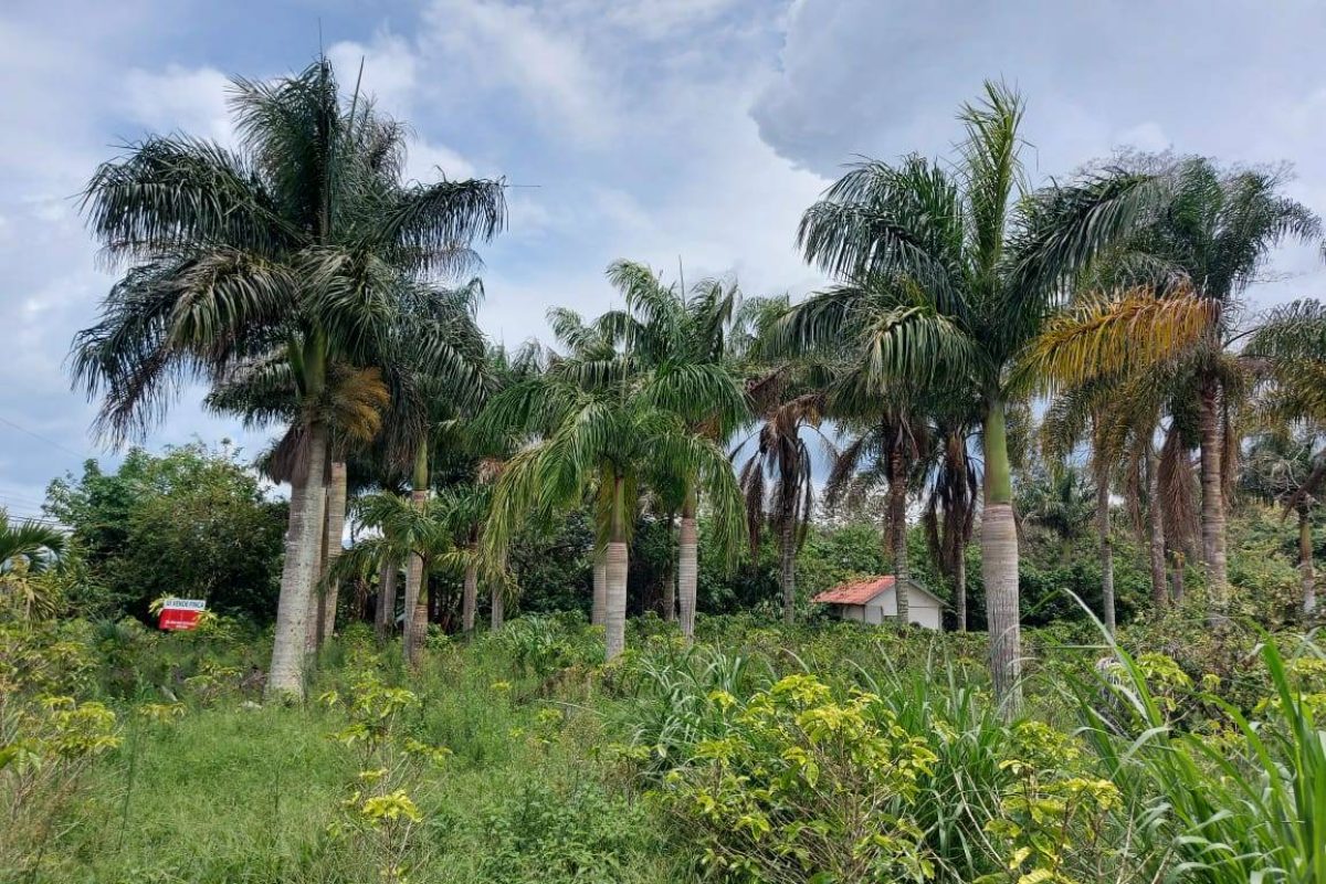 RealEstate_FlatLandNaranjo_4