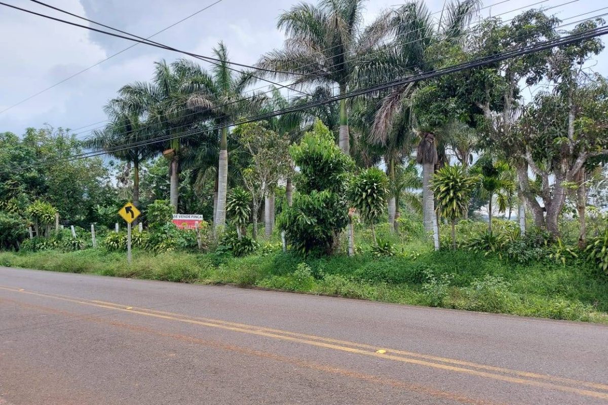 RealEstate_FlatLandNaranjo_5