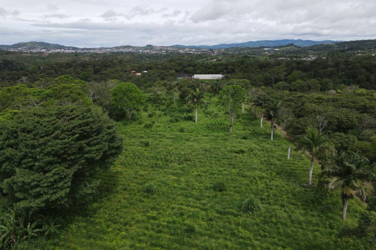 RealEstate_FlatLandNaranjo_6