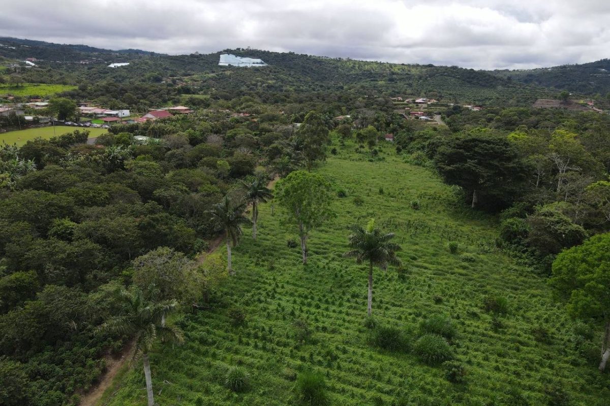 RealEstate_FlatLandNaranjo_7