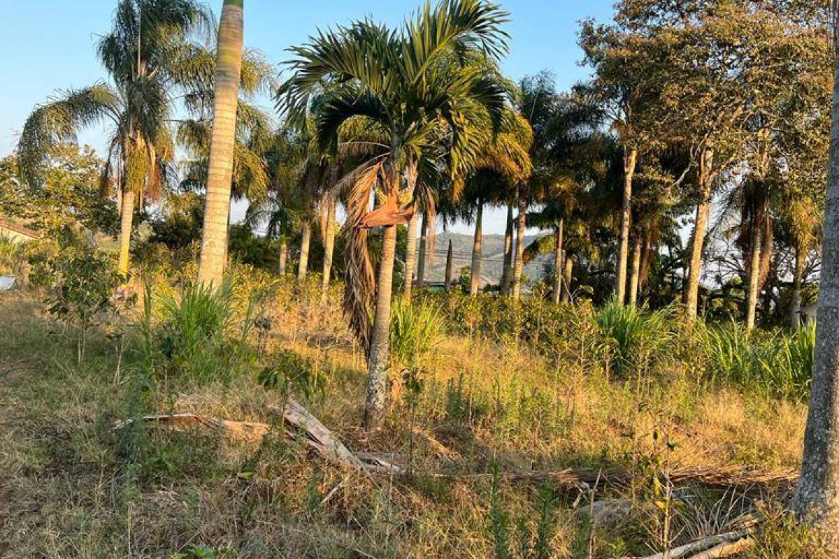 RealEstate_FlatLandNaranjo_8