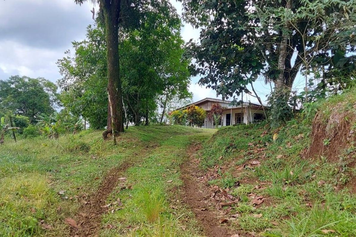 RealEstate_LandLaUnion_29