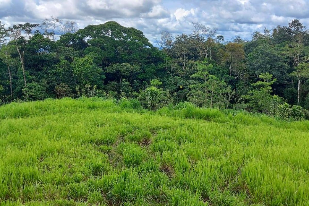 RealEstate_LandLaUnion_6