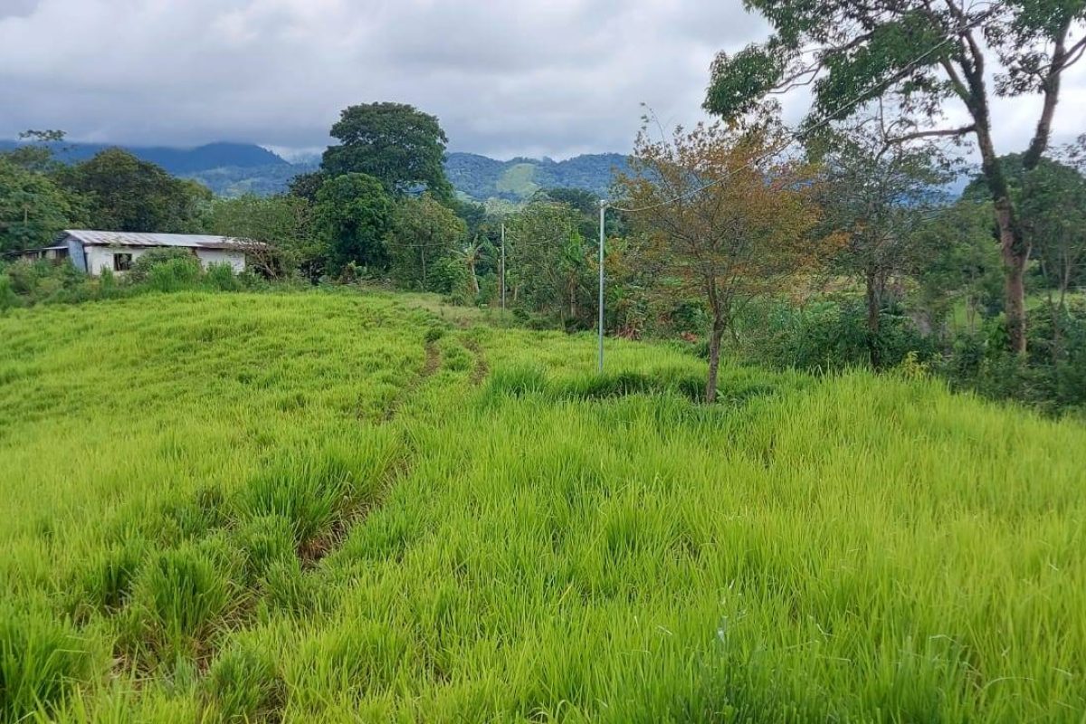 RealEstate_LandLaUnion_7