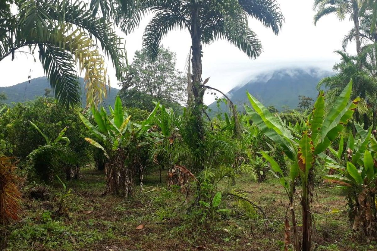 RealEstate_LandOfOpportunitiesLaFortuna_12