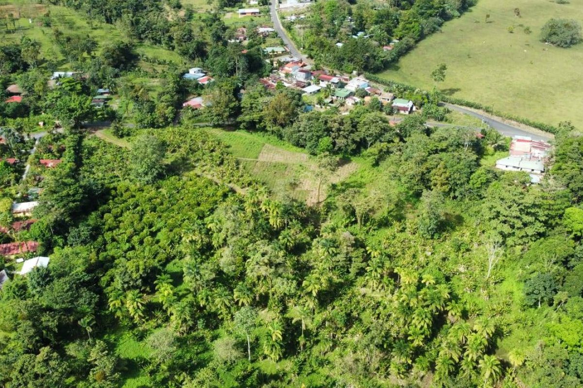RealEstate_LandOfOpportunitiesLaFortuna_7