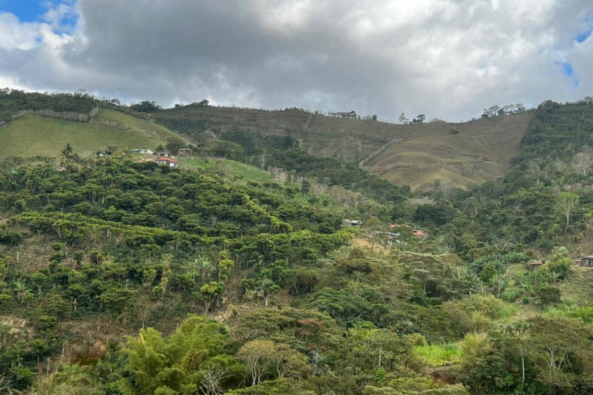 RealEstate_PalmaresLotAdrian_12