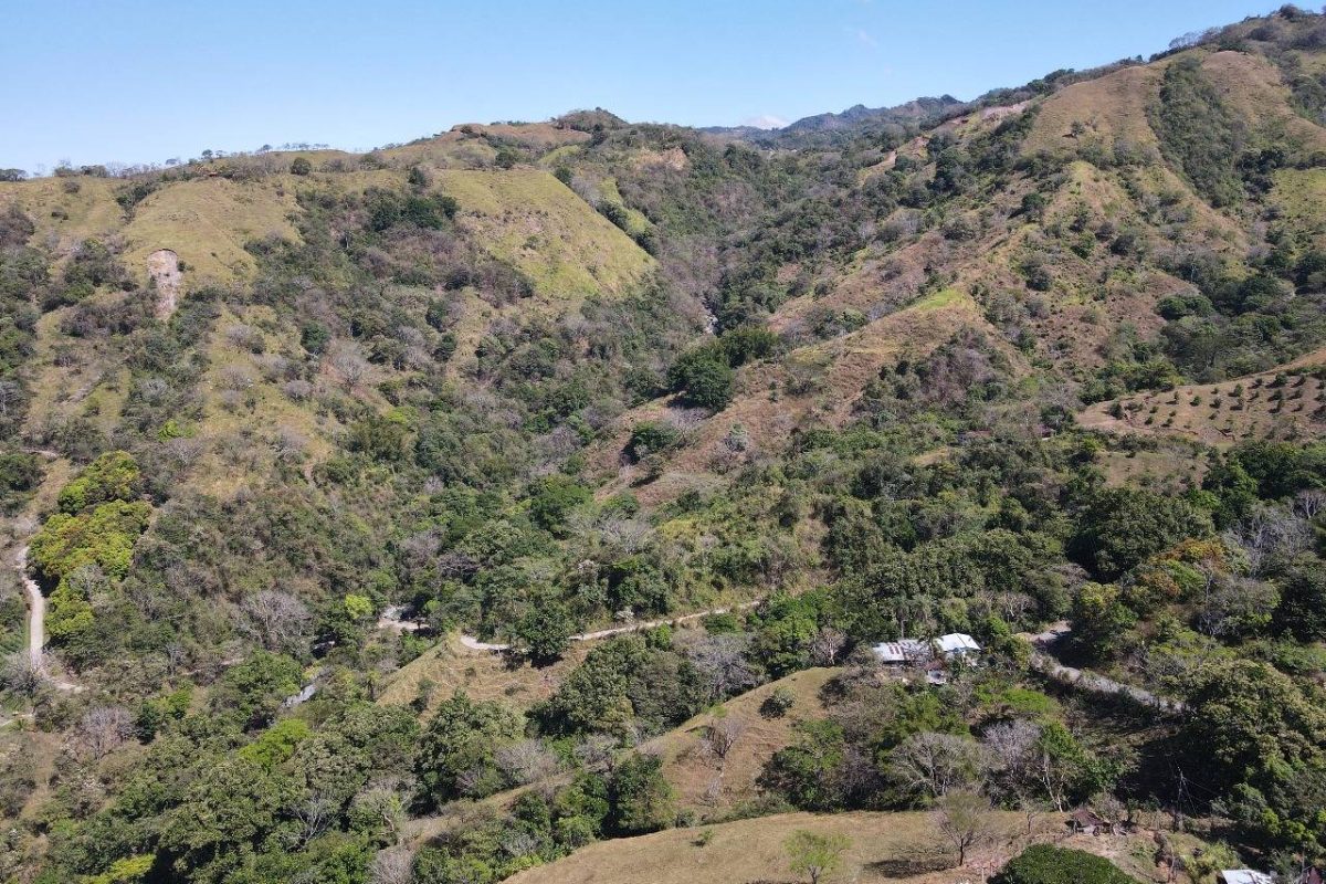 RealEstate_SanMateoLandHoward_10