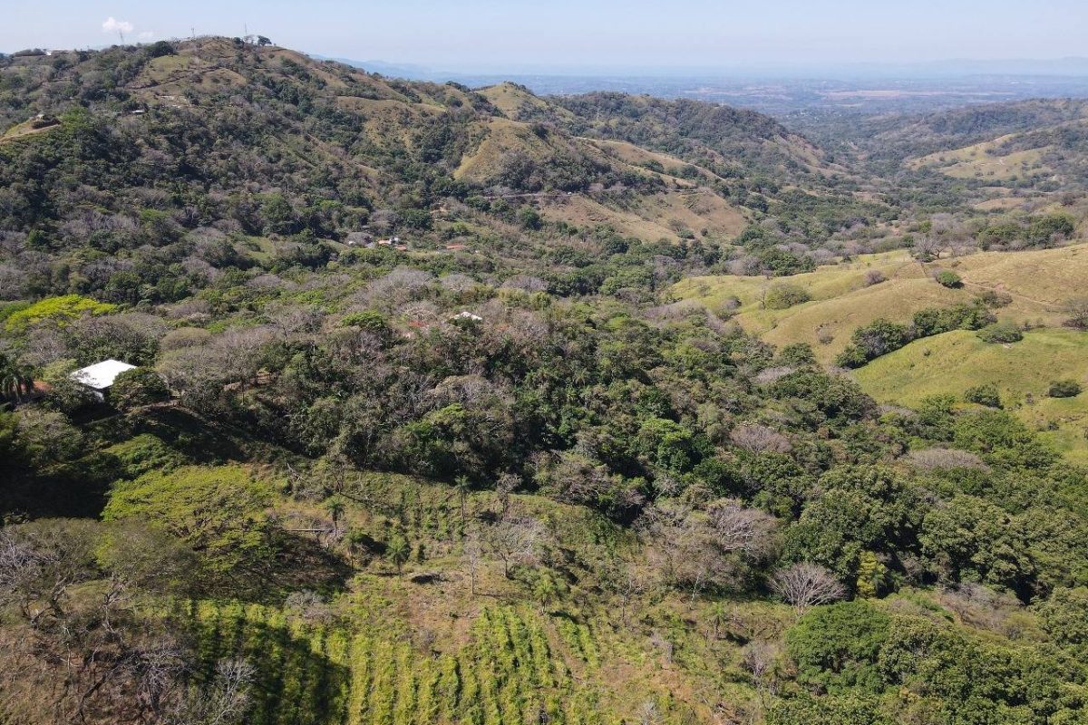 RealEstate_SanMateoLandHoward_11