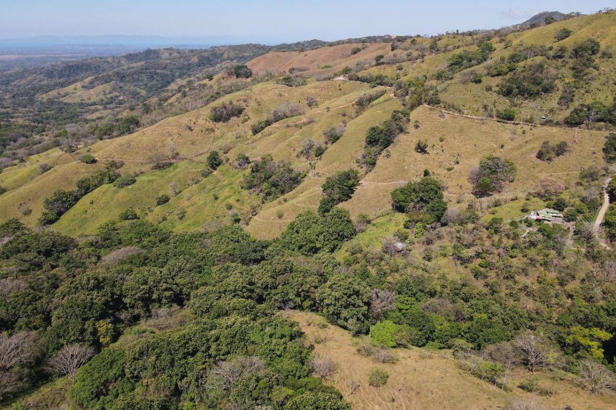 RealEstate_SanMateoLandHoward_12