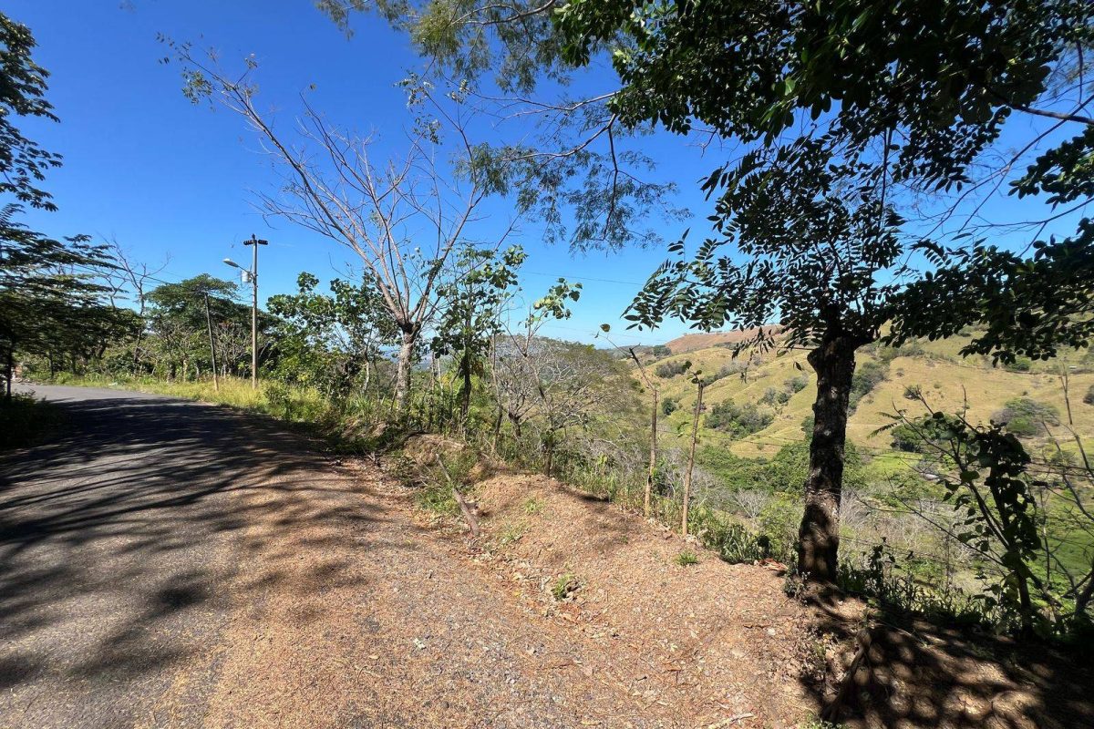 RealEstate_SanMateoLandHoward_15