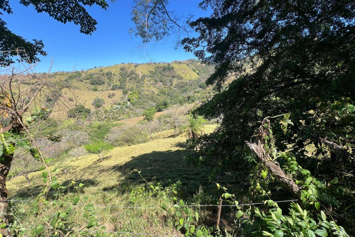 RealEstate_SanMateoLandHoward_16