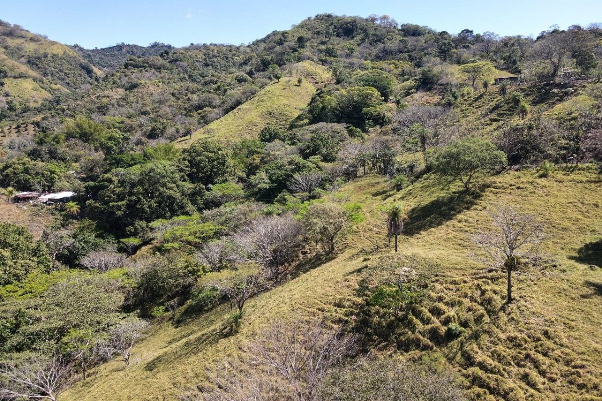 RealEstate_SanMateoLandHoward_3