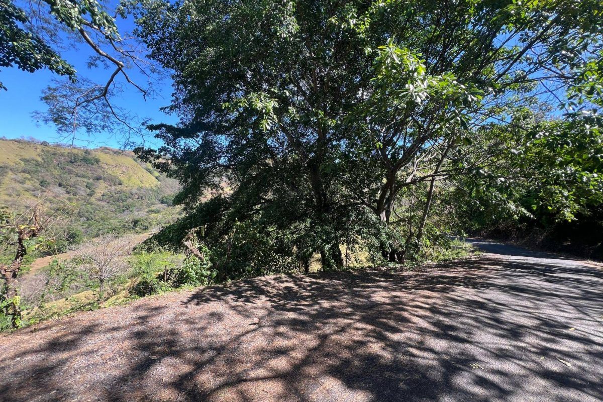 RealEstate_SanMateoLandHoward_4