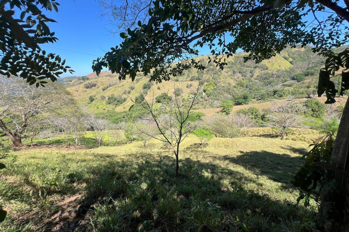 RealEstate_SanMateoLandHoward_5