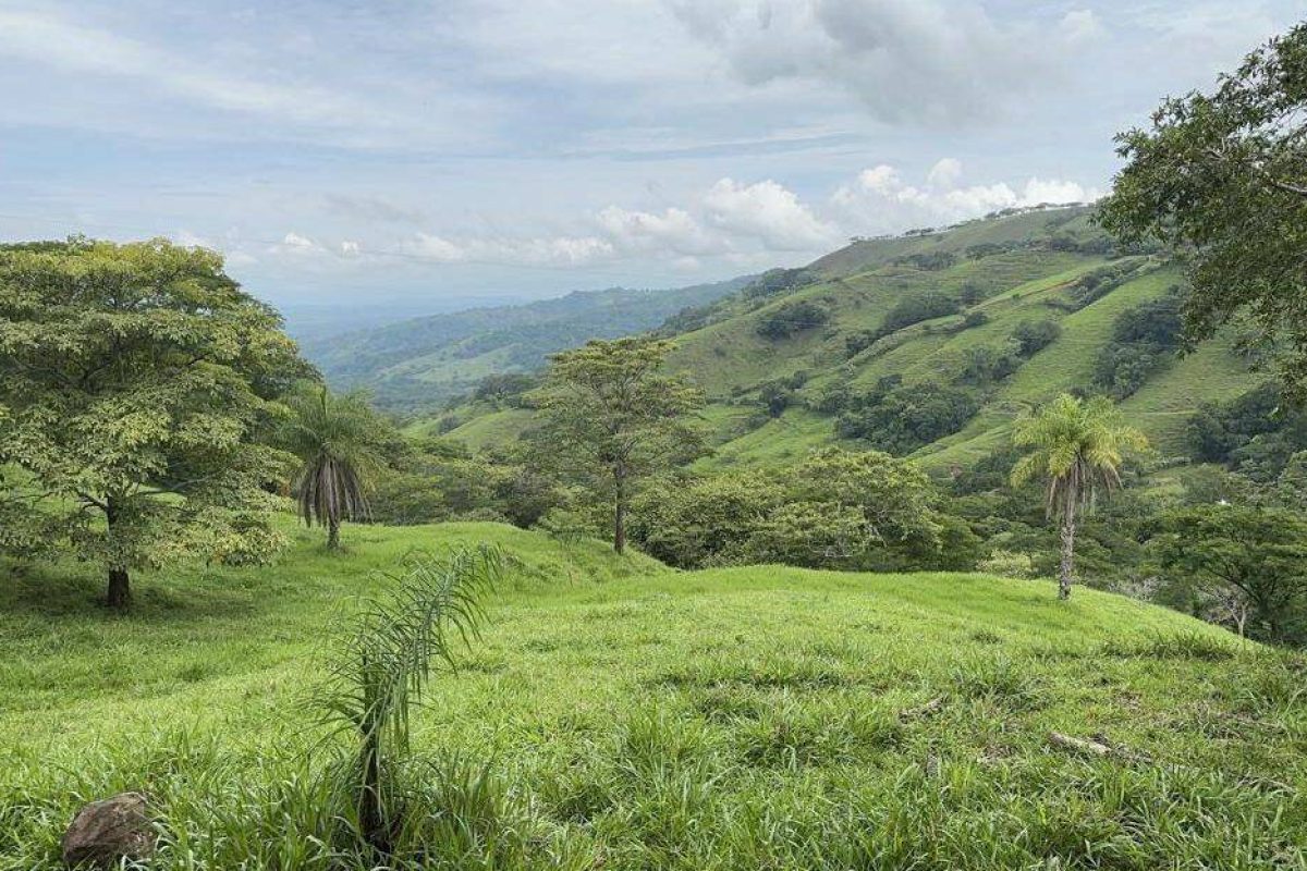 RealEstate_SanMateoLandHoward_6