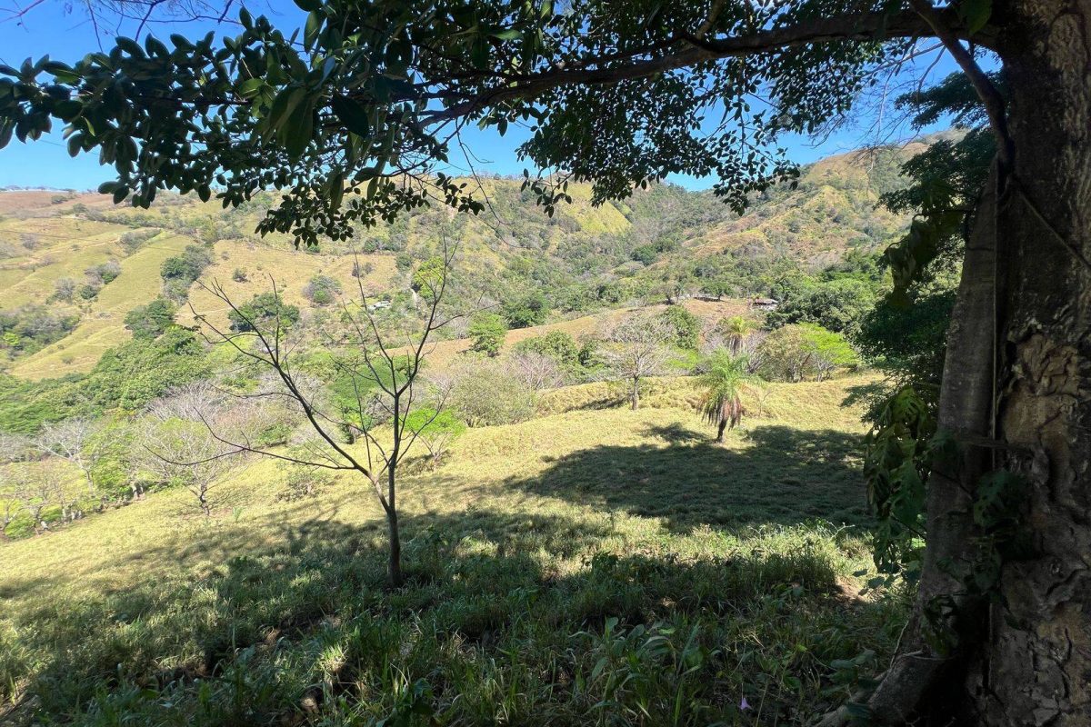 RealEstate_SanMateoLandHoward_7