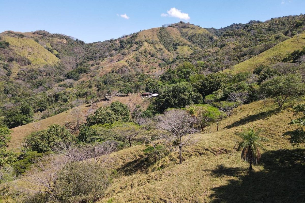 RealEstate_SanMateoLandHoward_8