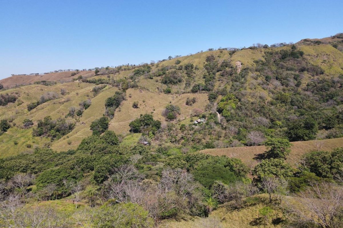 RealEstate_SanMateoLandHoward_9