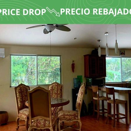 RealEstate_SierpeHouse_1-Price-Drop