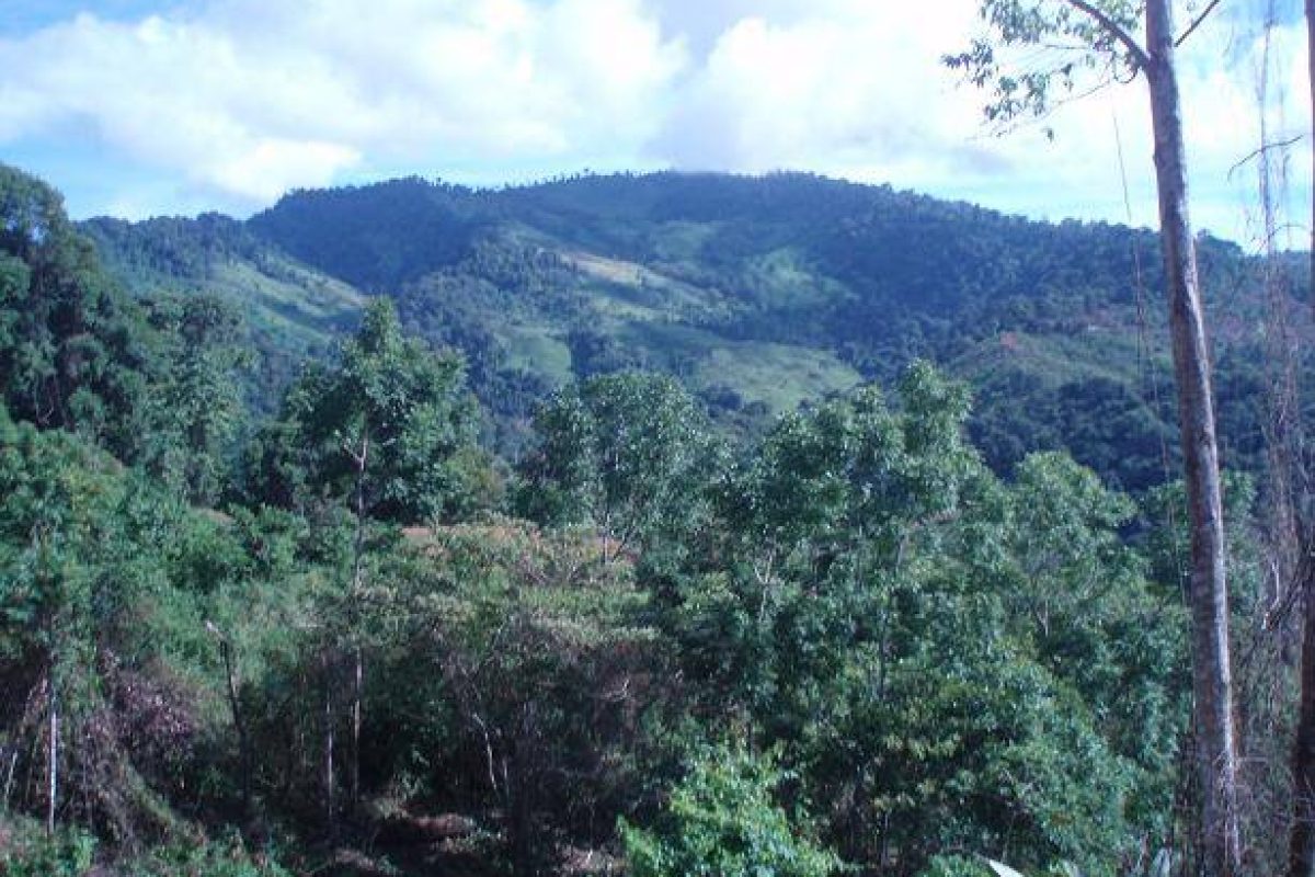 RealEstate_TierrasMorenasLot_10_10_11zon
