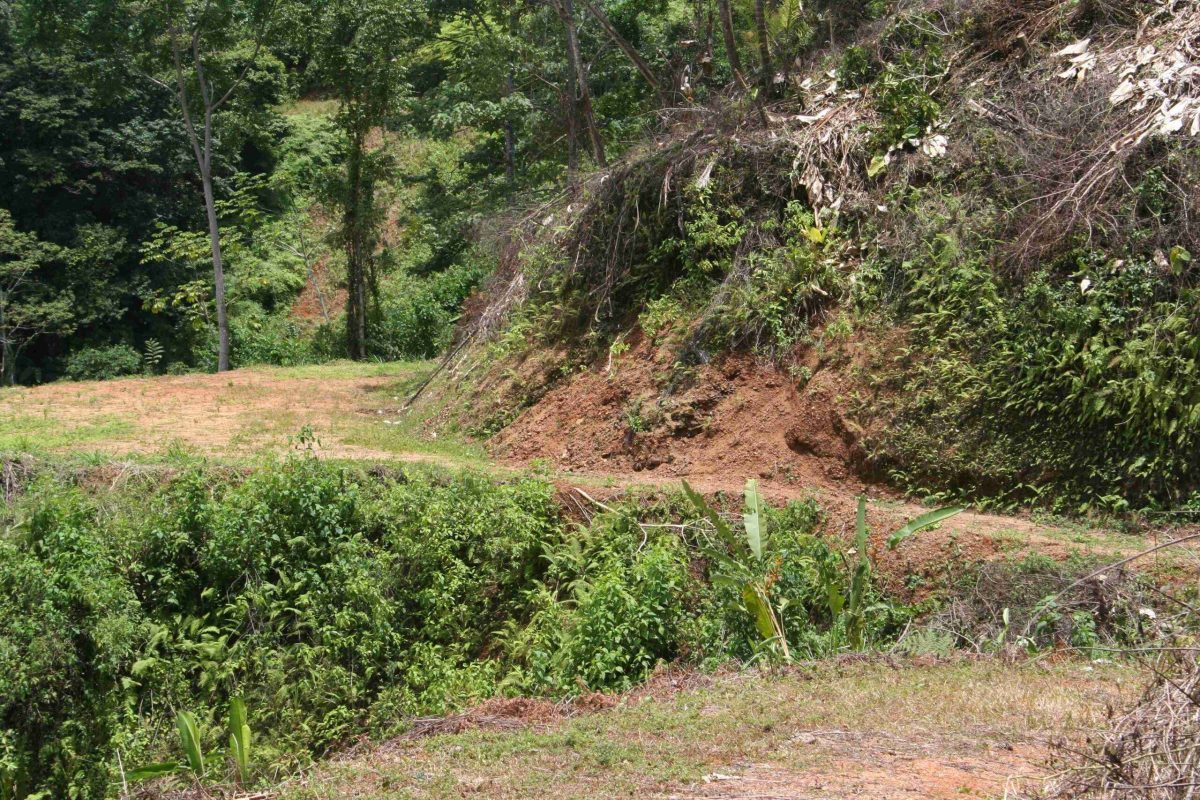 RealEstate_TierrasMorenasLot_12_12_11zon