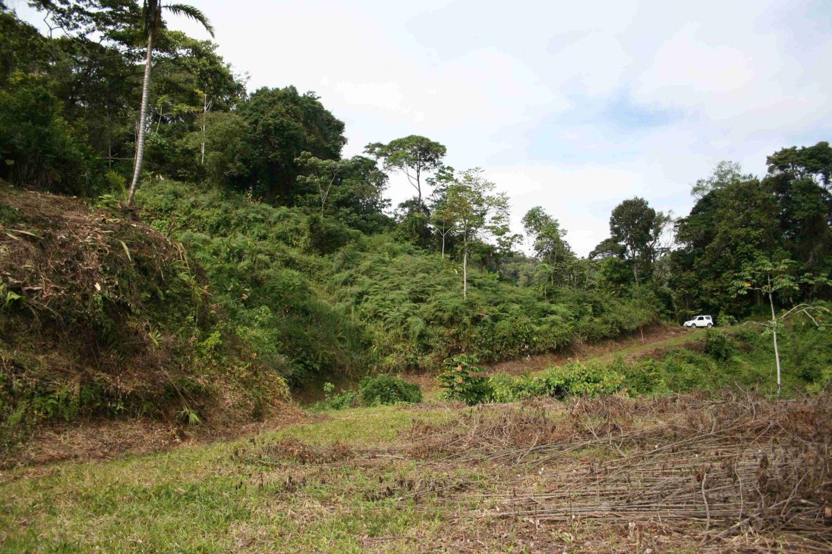 RealEstate_TierrasMorenasLot_13_13_11zon