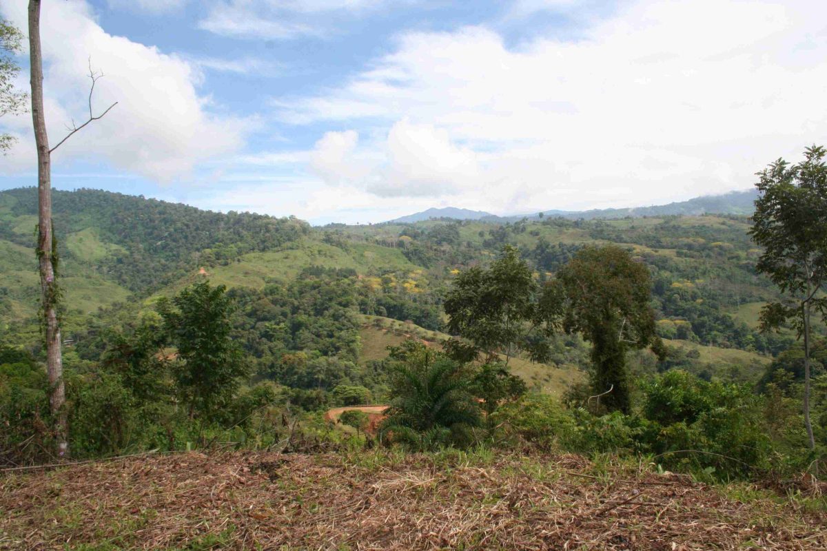 RealEstate_TierrasMorenasLot_15_15_11zon