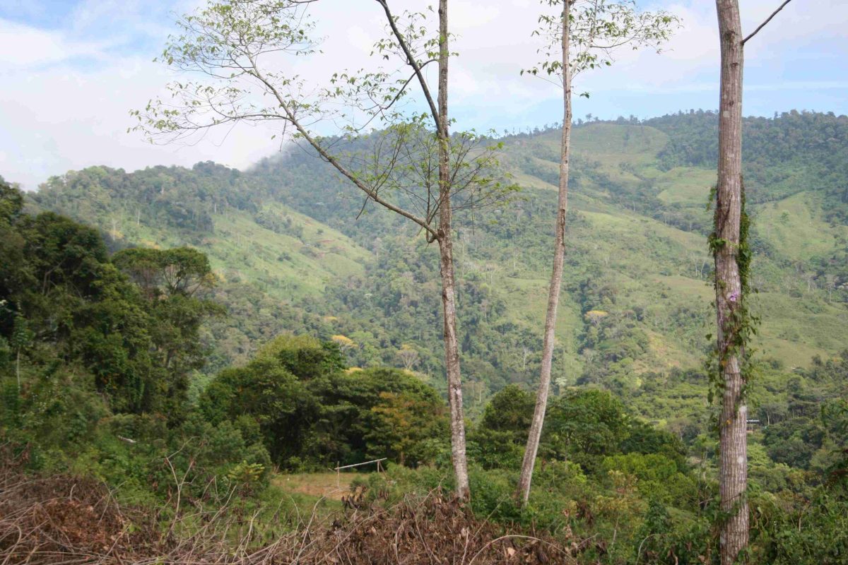 RealEstate_TierrasMorenasLot_16_16_11zon