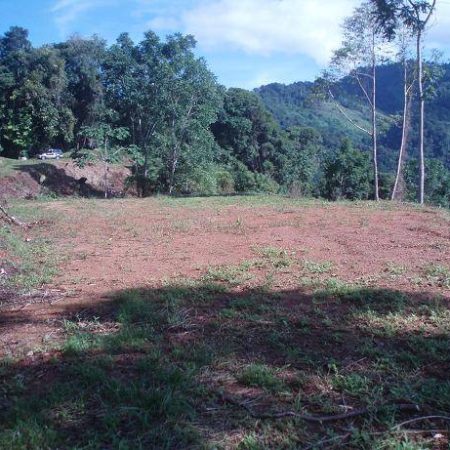 RealEstate_TierrasMorenasLot_1_1_11zon