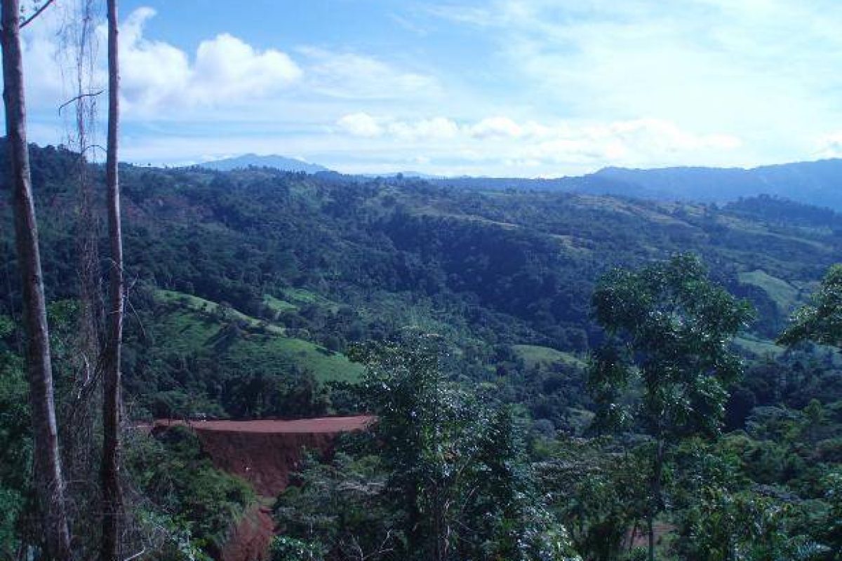 RealEstate_TierrasMorenasLot_2_2_11zon
